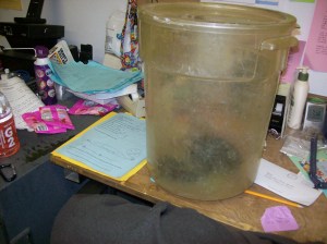 This is a real, live rattlesnake on my desk at camp.  Horses would not be pleased with this.
