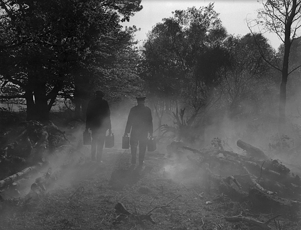 12989520653_329e75863b_o