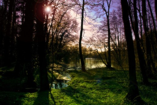 4500282770_dfb34d760a_z