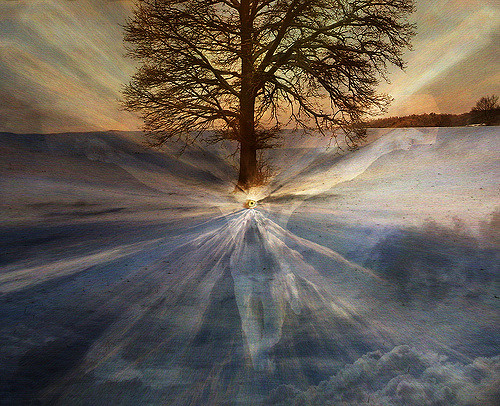 Attribution: https://www.flickr.com/photos/h-k-d/3074785871/in/photolist-5FH5Hv-oyX4AF-aktutu-64CA9T-cEQdcG-dHscAM-bQu1g4-9vyuj2-dP3abK-9PpB1k-9h9m7Y-6xTBnB-9ieBSm-2vVkpu-5H7mah-5NNUK1-9ACzqh-adY9Kx-r3AEfA-5FphEX-8vw2Hj-8aKsm6-CWBUK-8vsCQR-zAWf2-gwmN7H-auAC5p-8vwHnS-kKZytZ-JwmUb-gwmAC2-rkG8bG-54VyPW-9keAsF-4EpKeN-d5XAeb-941Srq-7otTRV-6J91Et-8xgXRs-64qbTH-dgLNXi-fmpVpM-8vtyRx-Jworr-f2qV76-6aXNBs-34Ydj3-7zduYp-t685Q/