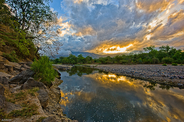 Credit: Christopher William Adach